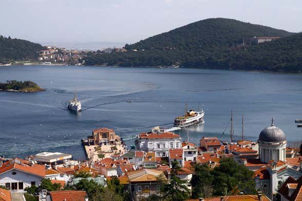 Excursion aux Îles des Princes